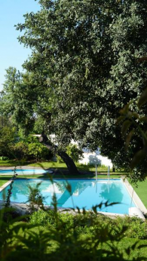 Гостиница Alentejo Star Hotel - Sao Domingos - Mertola - Duna Parque Group  Минас-Де-Сан-Домингуш